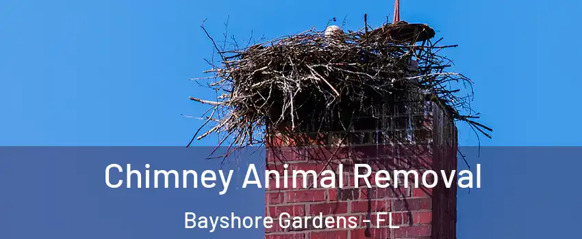  Chimney Animal Removal Bayshore Gardens - FL
