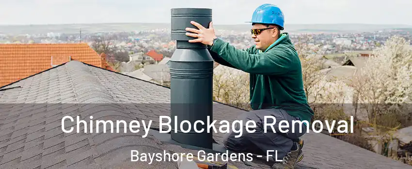  Chimney Blockage Removal Bayshore Gardens - FL
