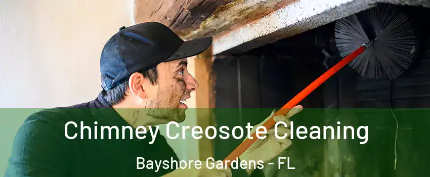 Chimney Creosote Cleaning Bayshore Gardens - FL