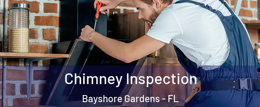  Chimney Inspection Bayshore Gardens - FL