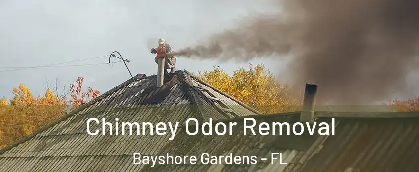  Chimney Odor Removal Bayshore Gardens - FL