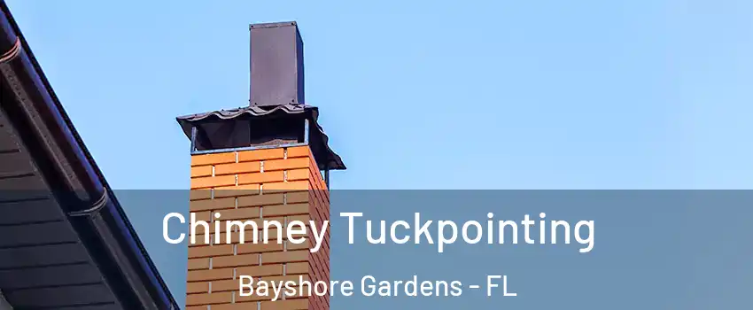  Chimney Tuckpointing Bayshore Gardens - FL