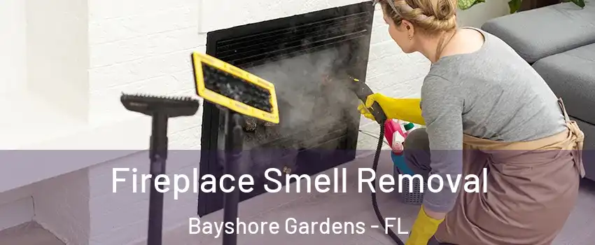  Fireplace Smell Removal Bayshore Gardens - FL