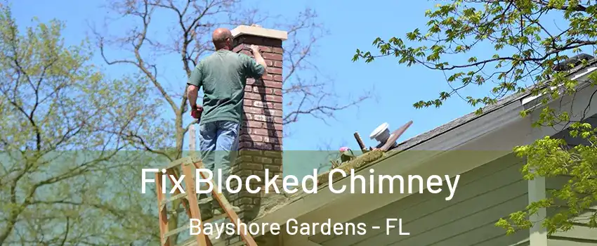  Fix Blocked Chimney Bayshore Gardens - FL