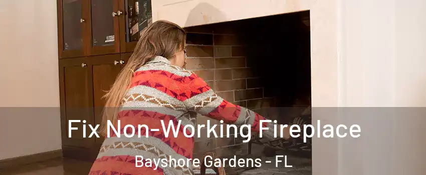  Fix Non-Working Fireplace Bayshore Gardens - FL
