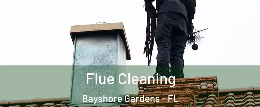  Flue Cleaning Bayshore Gardens - FL
