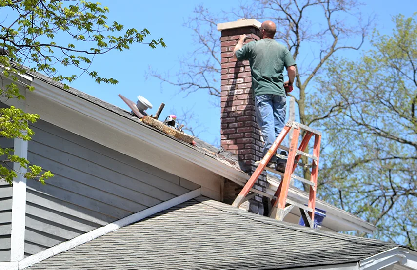 Chimney & Fireplace Inspections Services in Bayshore Gardens, FL
