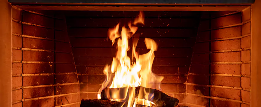 Soot Cleanup Services in Bayshore Gardens, FL