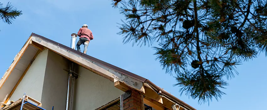 Birds Removal Contractors from Chimney in Bayshore Gardens, FL