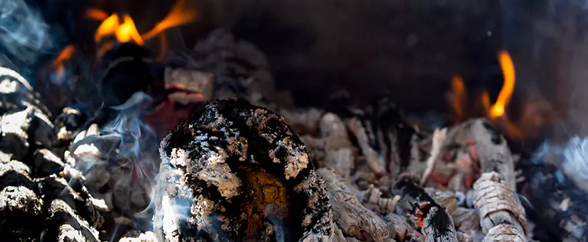 Creosote Removal Experts in Bayshore Gardens, FL