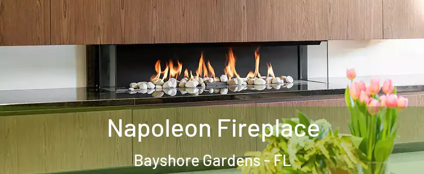  Napoleon Fireplace Bayshore Gardens - FL